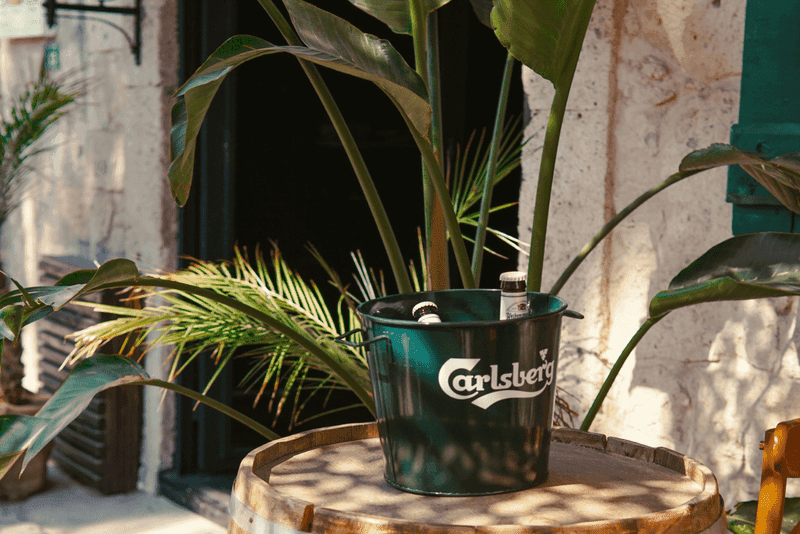 carlsberg plant pot with plant in it