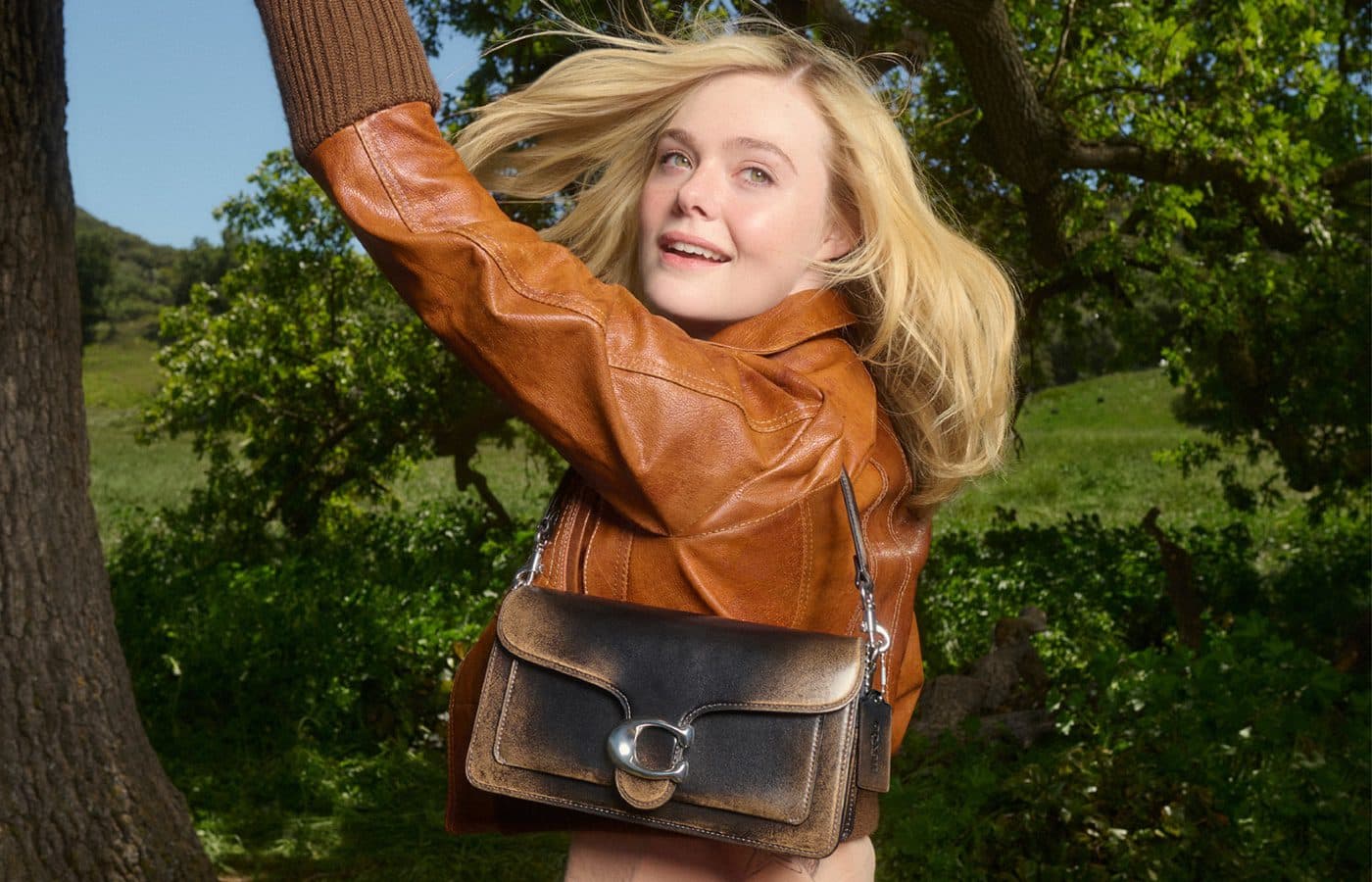 coach bag asset - tapestry win for iprospect